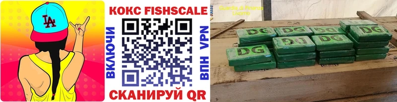 КОКАИН Fish Scale  продажа наркотиков  mega tor  Бабаево 