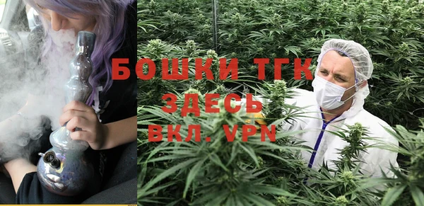 стаф Армянск