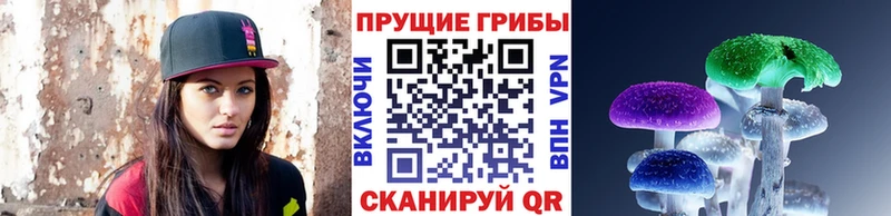 Галлюциногенные грибы Cubensis  даркнет состав  Бабаево 